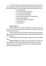 Prakses atskaite 'Audzināšanas prakses dienasgrāmata', 20.