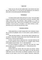 Prakses atskaite 'Audzināšanas prakses dienasgrāmata', 26.