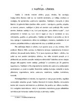 Referāts 'Vadītāja funkcijas un stili organizācijā', 8.