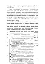 Referāts 'Valsts un tiesību savstarpējā mijiedarbība', 8.