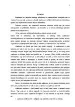 Referāts 'Uzņēmuma vadības organizācija', 3.