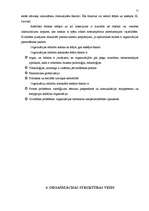 Referāts 'Uzņēmuma vadības organizācija', 12.