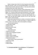 Referāts 'Uzņēmuma vadības organizācija', 14.