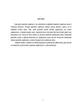 Referāts 'Apsardzes uzņēmumu attīstības iespējas Latvijā', 3.
