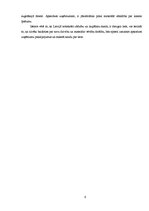 Referāts 'Apsardzes uzņēmumu attīstības iespējas Latvijā', 6.