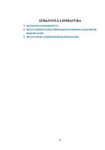 Referāts 'Apsardzes uzņēmumu attīstības iespējas Latvijā', 10.
