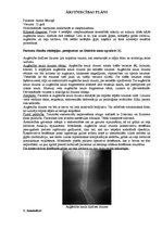 Konspekts 'Ārstniecības plāns', 2.