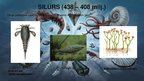 Prezentācija 'Paleozoja ēras flora un fauna', 5.