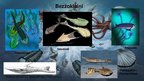Prezentācija 'Paleozoja ēras flora un fauna', 6.