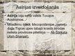 Prezentācija 'Asīrija. Seno Austrumu civilizācija', 3.