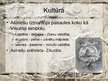Prezentācija 'Asīrija. Seno Austrumu civilizācija', 10.
