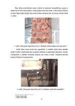 Referāts 'Daudzdzīvokļu dzīvojamās mājas Bebru ielā 12, Jēkabpilī, apsekošana un tehniskā ', 22.