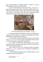 Referāts 'Daudzdzīvokļu dzīvojamās mājas Bebru ielā 12, Jēkabpilī, apsekošana un tehniskā ', 24.