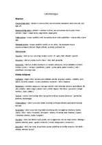 Konspekts 'Leksikoloģija', 1.