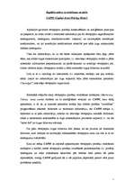 Konspekts 'Kapitāla aktīvu novērtēšanas modelis', 1.