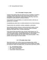 Referāts 'Interneta servisa risinājumu analīze', 13.