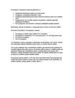 Referāts 'Interneta servisa risinājumu analīze', 47.