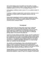 Referāts 'Interneta servisa risinājumu analīze', 53.