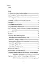 Diplomdarbs 'Skolēnu pašnovērtēšanas ietekme uz mācību sasniegumiem', 5.