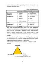 Diplomdarbs 'Skolēnu pašnovērtēšanas ietekme uz mācību sasniegumiem', 17.