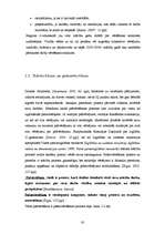 Diplomdarbs 'Skolēnu pašnovērtēšanas ietekme uz mācību sasniegumiem', 30.