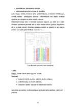 Diplomdarbs 'Skolēnu pašnovērtēšanas ietekme uz mācību sasniegumiem', 41.