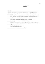 Referāts 'Eiro ieviešana', 2.