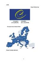 Referāts 'Starptautiskās organizācijas', 6.