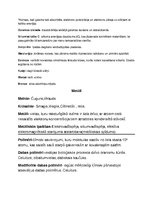 Konspekts 'Materiālzinību pamati', 2.