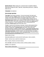 Konspekts 'Materiālzinību pamati', 8.