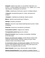 Konspekts 'Materiālzinību pamati', 9.