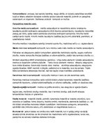 Konspekts 'Materiālzinību pamati', 11.