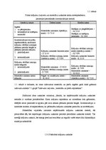 Diplomdarbs 'Krājumu uzskaites organizācija un kārtošana', 24.