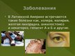 Prezentācija 'Латинская Америка', 19.