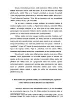 Konspekts 'Rietumvalstu vēlēšanu sistēmu salīdzinošā analīze', 6.