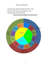 Konspekts 'Dorotejas Oremas teorijas pielietošana māsu praksē', 3.