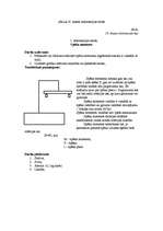 Konspekts 'Spēka moments', 1.