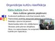 Prezentācija 'Organizācijas kultūru klasifikācija,  diagnostika un nozīme', 8.