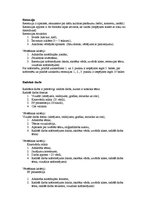 Paraugs 'Recenzija un radošais darbs', 1.