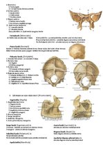 Konspekts 'Anatomija veselības aprūpes studijās', 3.