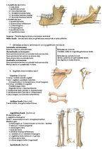 Konspekts 'Anatomija veselības aprūpes studijās', 4.