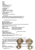 Konspekts 'Anatomija veselības aprūpes studijās', 5.