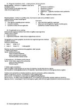 Konspekts 'Anatomija veselības aprūpes studijās', 25.