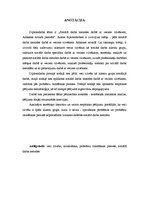 Diplomdarbs 'Sociālā darba metodes darbā ar veciem cilvēkiem, Alūksnes novada piemērs', 3.