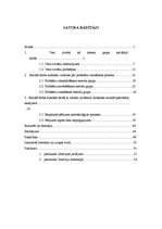 Diplomdarbs 'Sociālā darba metodes darbā ar veciem cilvēkiem, Alūksnes novada piemērs', 5.