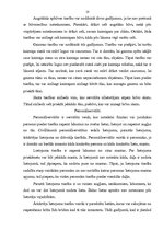 Referāts 'Lietu iedalījums', 10.