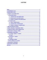 Paraugs 'Finanšu analīze', 2.