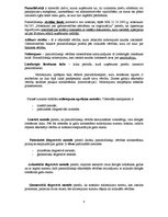 Paraugs 'Finanšu analīze', 8.