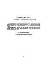 Paraugs 'Finanšu analīze', 10.