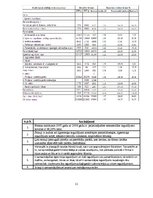 Paraugs 'Finanšu analīze', 11.